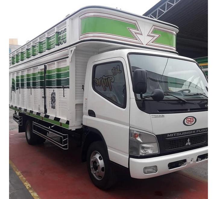 CAMIONES MITSUBISHI FUSO CANTER 4TN Y 5TN